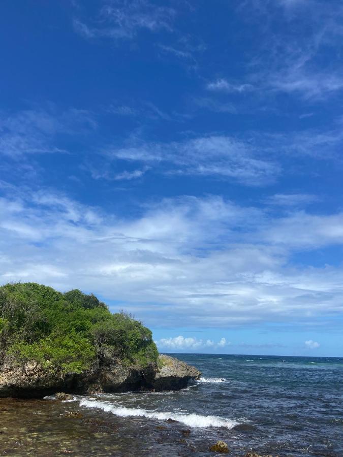 Le M Hotel Marie Galante Beauregard Bagian luar foto